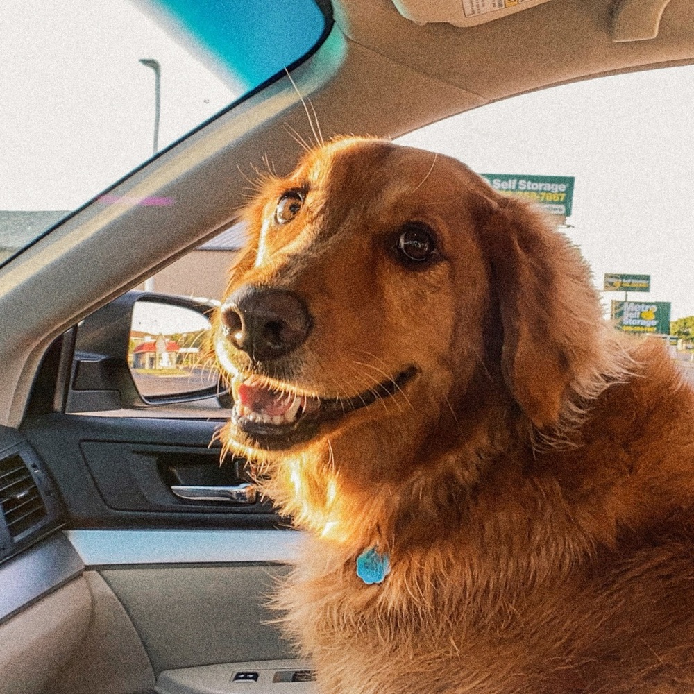 Meet your Posher, Javier